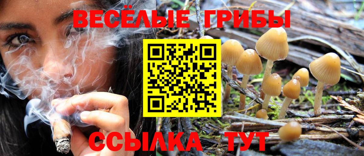 Азнакаево  Галлюциногенные грибы мухоморы  Вход с VPN 